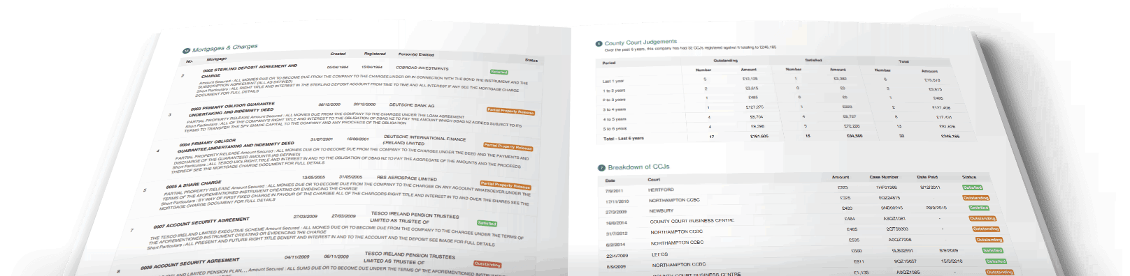 Company Credit Report Sample Graphic