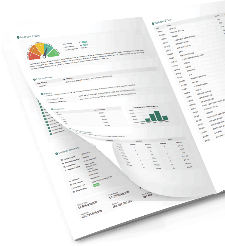 Business Credit Report Booklet Graphic